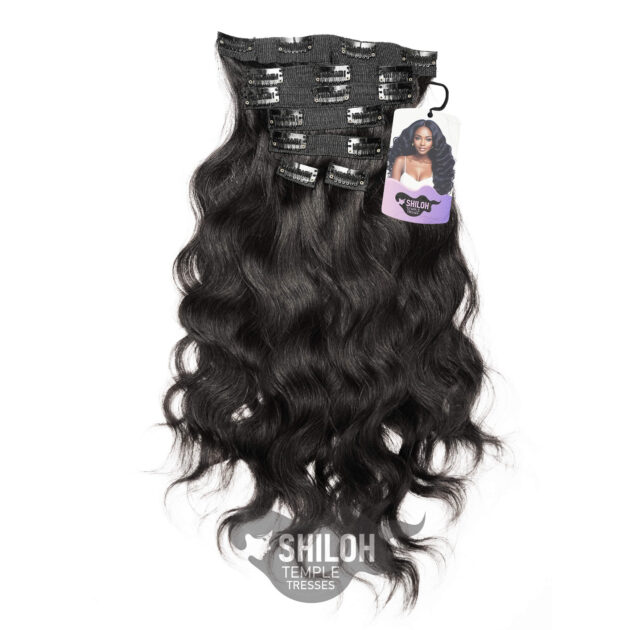Raw Indian Wavy Clip-In Extensions